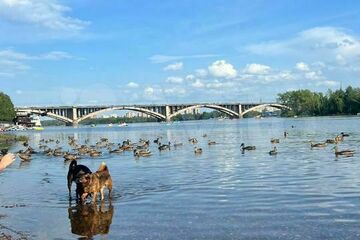 3-к квартира, 60 м², 5/5 эт.