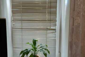 Студия, 20 м², 1/2 эт.